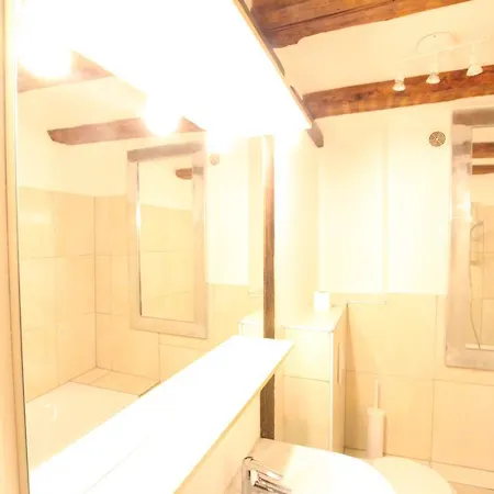 Historic Center - Alsacian Petite Venise 1 - Bookingalsace Daire