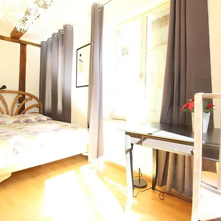 Historic Center - Alsacian Petite Venise 1 - Bookingalsace Daire Colmar