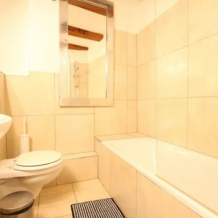 Daire Historic Center - Alsacian Petite Venise 1 - Bookingalsace *