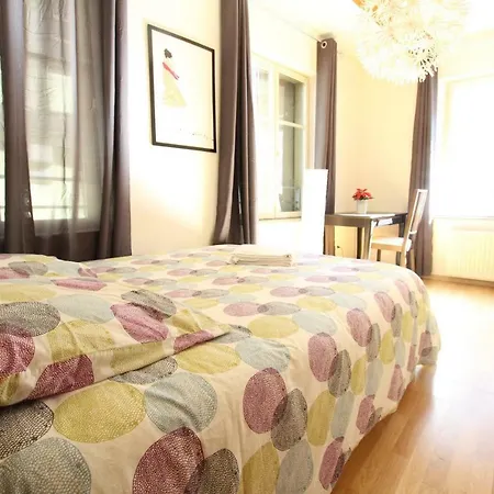 Daire Historic Center - Alsacian Petite Venise 1 - Bookingalsace Colmar