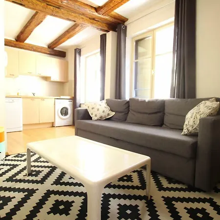 Daire Historic Center - Alsacian Petite Venise 1 - Bookingalsace Colmar
