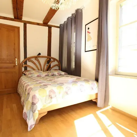 Daire Historic Center - Alsacian Petite Venise 1 - Bookingalsace *