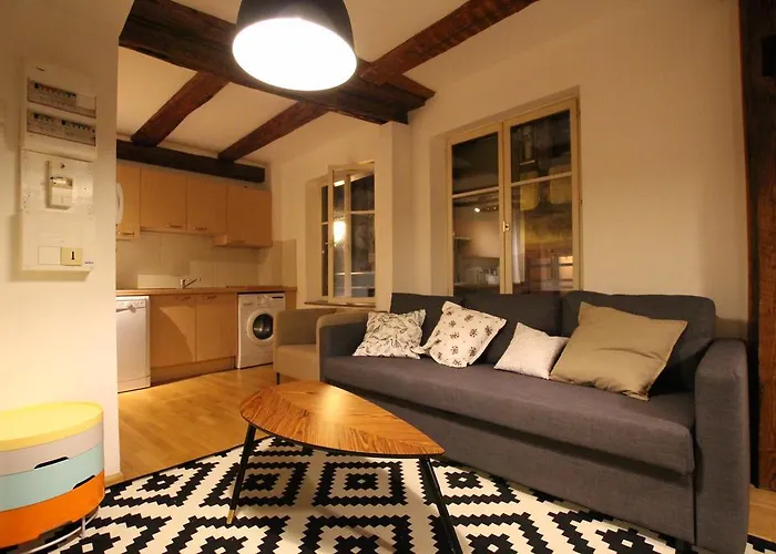 Διαμέρισμα Historic Center - Alsacian Petite Venise 1 - Bookingalsace *