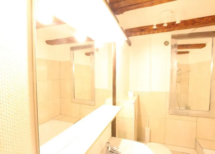 Historic Center - Alsacian Petite Venise 1 - Bookingalsace Διαμέρισμα