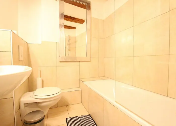 Διαμέρισμα Historic Center - Alsacian Petite Venise 1 - Bookingalsace *