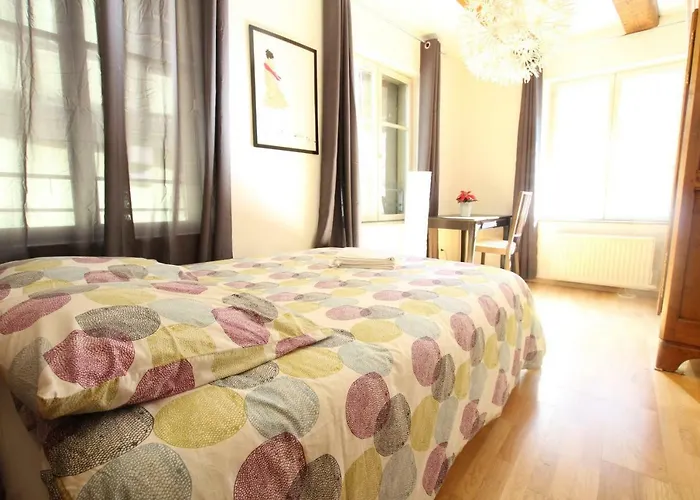 Διαμέρισμα Historic Center - Alsacian Petite Venise 1 - Bookingalsace Κολμάρ