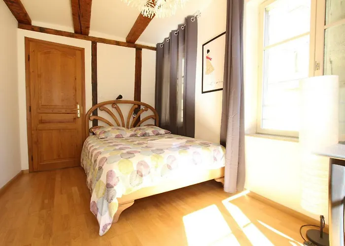 Διαμέρισμα Historic Center - Alsacian Petite Venise 1 - Bookingalsace *